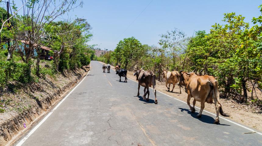 46/3 trafik cezası nedir, ceza tutarı ne kadar? 46/3 trafik cezası maddesi ihlal konusu nedir, kimlere uygulanır?