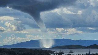 Korkutan görüntünün ardından aniden... Fotoğraf Bodrum'da çekildi! Teyakkuza geçildi
