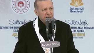 Son dakika: Babacan'ın 'aferin' çıkışı gündem olmuştu! Erdoğan'dan sert tepki: Bizimle adam gibi yürüdüler, sonra kayboldular