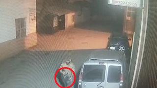 8 lüks arabayı tek tek dolaşıp topladı! Piyasa değeri 120 bin TL... 100 kamera incelendi