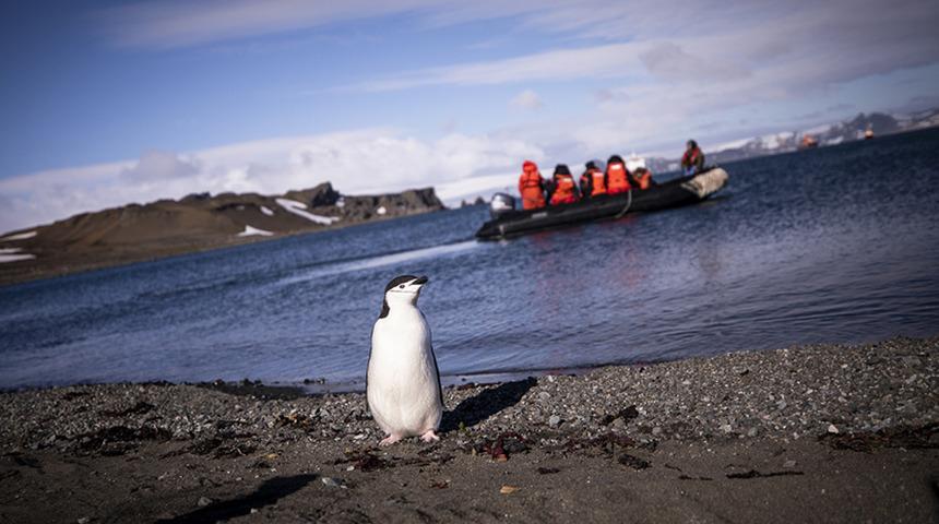 68 saatlik yolculuk! Türk ekibi Antarktika’ya ayak bastı 'Çok yorulduk ama başardık'