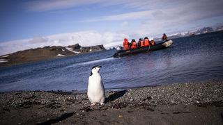 68 saatlik yolculuk! Türk ekibi Antarktika’ya ayak bastı 'Çok yorulduk ama başardık'