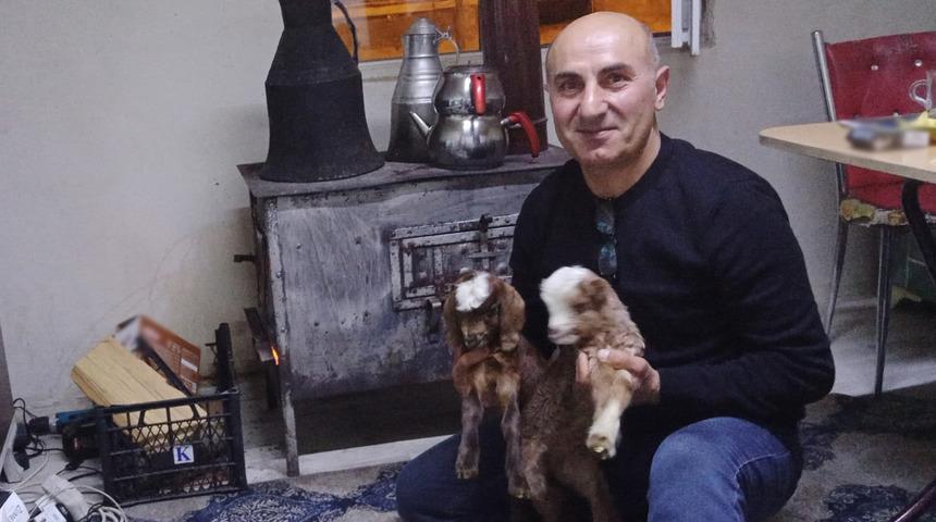 Biberonla besliyor, adeta bebek gibi bakıyor! "Acıktıklarında yanıma gelirler"