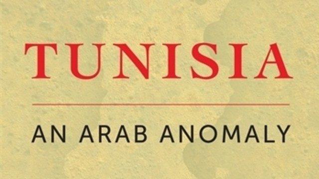 'In Tunisia: An Arab Anomaly' A narration to understand The Arab Spring