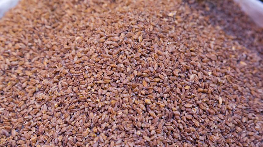 Tarihi 10 bin yıl öncesine dayanan ilk buğday: Siyez buğdayı