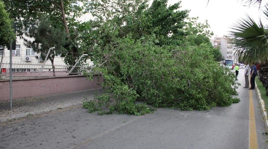 Meteoroloji’den Aydın’a kuvvetli rüzgar ve fırtına uyarısı