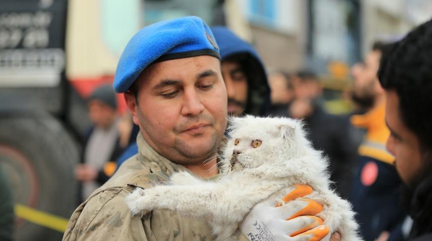 Korkusu gözlerinden okundu! Enkazdan bir kedi kurtarıldı