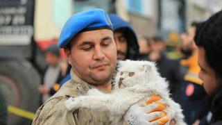 Korkusu gözlerinden okundu! Enkazdan bir kedi kurtarıldı