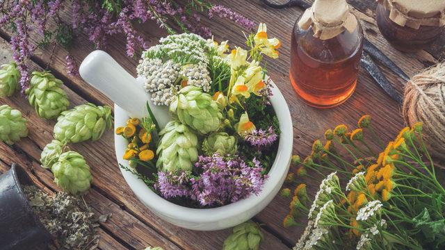 Kanserde fitoterapi nedir, kemoterapiyle kullanılır mı? Fitoterapi kanser tedavisinde etkili mi, nasıl etki eder?