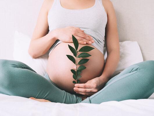 Fitoterapi hamile kalmaya yardımcı olur mu?