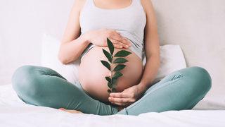 Fitoterapi ile gebelik tedavisi nedir? Fitoterapi hamile kalmaya yardımcı olur mu, gebelik için fitoterapi uygulamaları nedir?