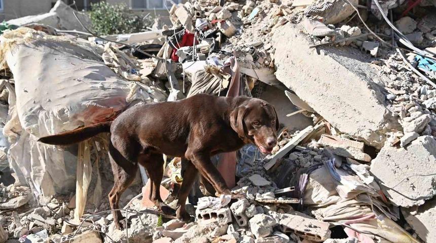 ‘Ateş’ yürek ısıtmak için çalışıyor