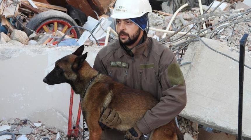 Arama kurtarma köpeği Tetik, Samandağ'da 15 can kurtardı