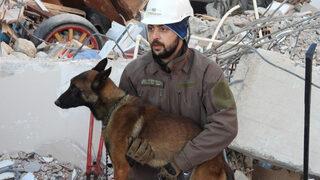 Arama kurtarma köpeği Tetik, Samandağ'da 15 can kurtardı