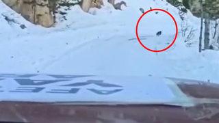 Görüntüler depremin vurduğu Kahramanmaraş'tan... Yardım konvoyuna köye kadar rehberlik etti, yürekleri ısıttı!