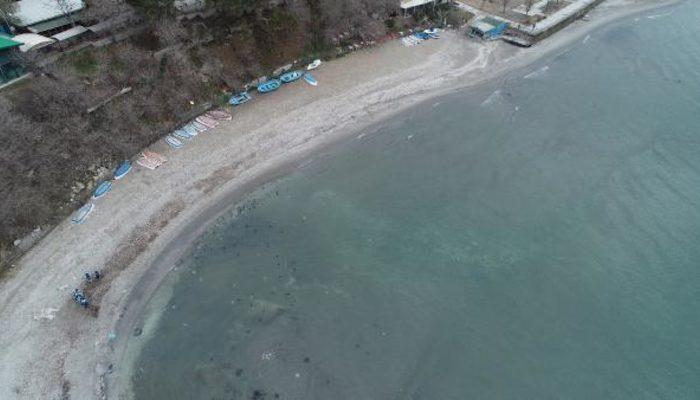 Deprem sonrası korkutan görüntü! Deniz metrelerce çekildi