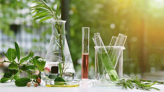 Fitoterapi prostat tedavisine iyi gelir mi, tedavi edilebilir mi? Prostat kanserinde fitoterapi uygulaması nedir?