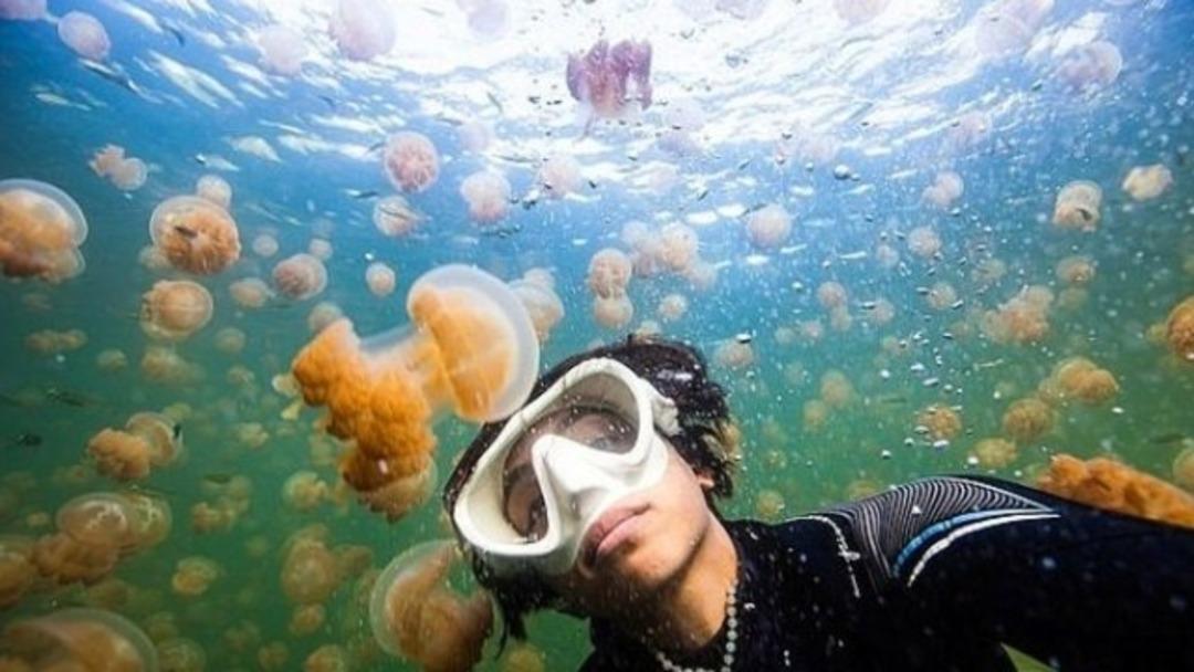 En &ccedil;ılgın selfie'ler