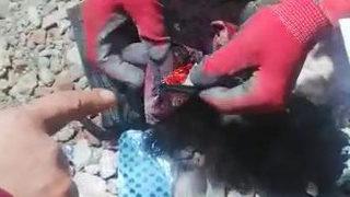 Arama kurtarma ekipleri enkazda buldu! 500 bin TL'lik altın ve döviz sahibine teslim edildi