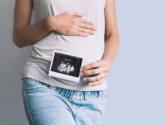 Hamilelikte trimester dönemleri nedir?