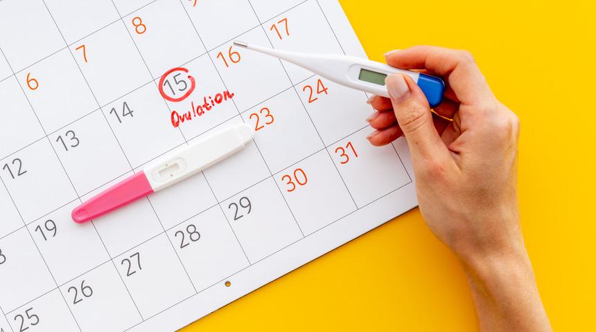 Ovülasyon nedir, ne zaman olur? Ovülasyon testinde gebelik belli olur mu, ovülasyon testi nasıl yapılır?