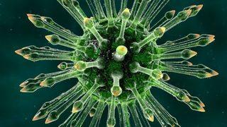 Bazı eşcinsel erkekler nasıl AIDS'ten korkmadan korunmasız cinsel ilişkiye giriyor?