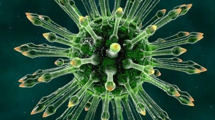 Bazı eşcinsel erkekler nasıl AIDS'ten korkmadan korunmasız cinsel ilişkiye giriyor?