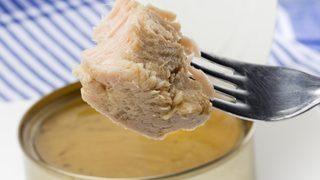 Sağlıklı diye yiyoruz ama içi zehirden farksız! Ton balığı tehlikesine dikkat