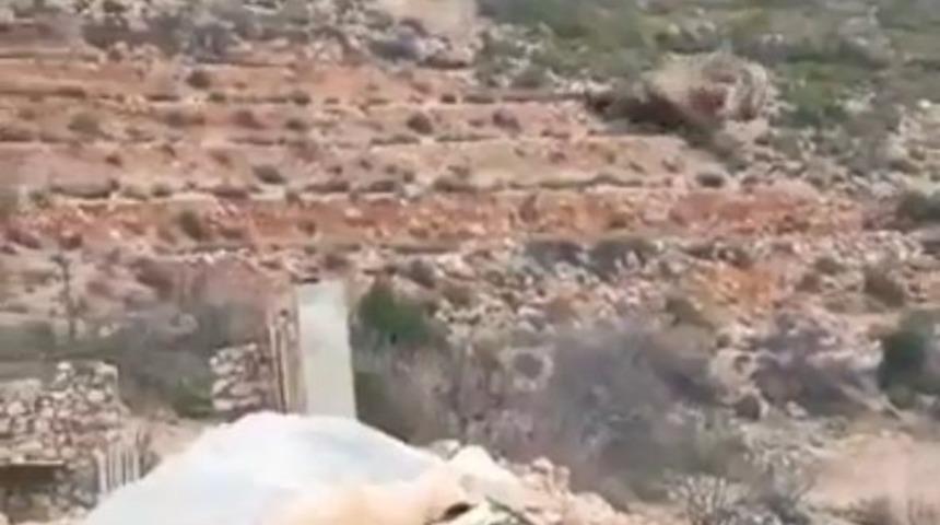 Antalya&rsquo;da dağdan gelen kaya paniği