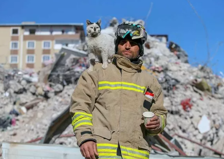 Göçük altından kurtardığı kediyi sahibi çıkmayınca sahiplendi! Bir an olsun yanından ayrılmıyor...‘Enkaz emin ellerde’ G4