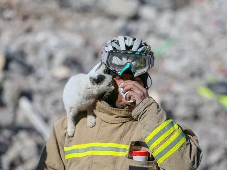 Göçük altından kurtardığı kediyi sahibi çıkmayınca sahiplendi! Bir an olsun yanından ayrılmıyor...‘Enkaz emin ellerde’ G5
