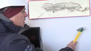 Evler tek tek kontrol ediliyor, ev sahiplerine bilgi veriliyor! Depremden sonra başladı: İki adımlı incelemede 'karot' detayı