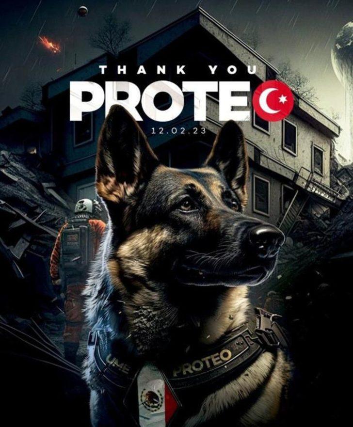 Türkiye’de hayatını kaybeden Meksikalı arama-kurtarma köpeği Proteo unutulmadı! Türkiye’ye heykeli dikilecek  G5