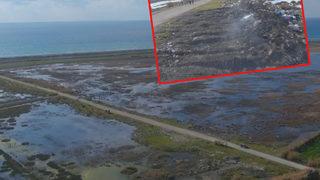 Milleyha Kuş Cenneti, 'cehenneme' döndü!  Çevre, Şehircilik ve İklim Değişikliği Bakanlığı harekete geçti