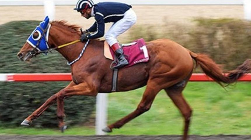 Zarrab'ın atı devlete kaldı! Aylık masrafı 30 bin TL