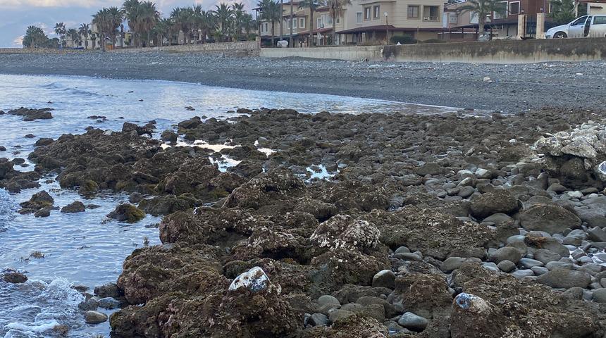 Depremin etkileri sürüyor! Bu kez de Hatay'da deniz suyu çekildi