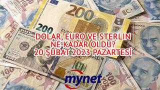 DOLAR ne kadar? EURO kaç TL? İşte 20 Şubat 2023 Pazartesi dolar, euro ile sterlin fiyatlarında son durum ve canlı takip ekranı!