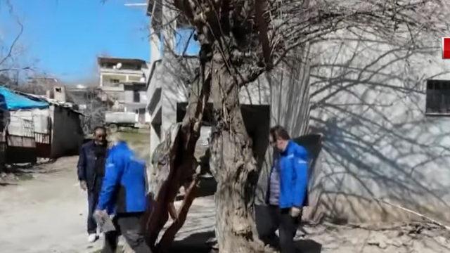 Artık ağacın içinden geçilebiliyor! 'Fayın üzerindeki her şey mutlaka...' Deprem ağacı ortadan ikiye bölmüş