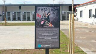 Arama kurtarma köpeği Proteonun ismi Kocaeli'de yaşatılacak