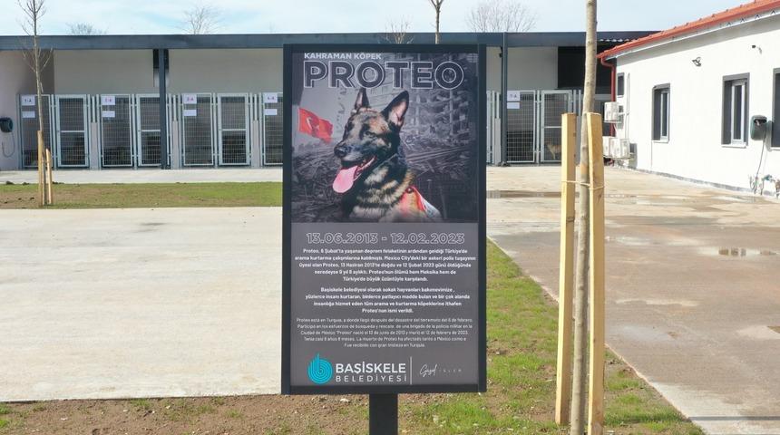 Arama kurtarma köpeği "Proteo"nun ismi Kocaeli'de yaşatılacak