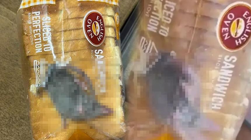 İnternetten sipariş ettiği ekmek poşetinin içinden canlı fare çıktı! Gördüklerine inanamadı