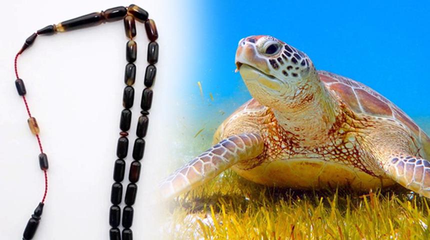 Caretta caretta ve tespih... Gören şaşırıyor! 'Orijinaldir'