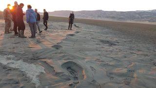 Deprem sonrası zemin sıvılaşması uzmanları da şaşırttı! Bir fay kırığı ya da yarığı değil