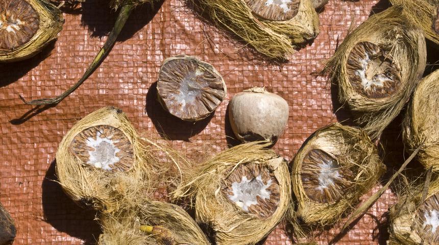 &Ccedil;ok kişinin bilmediği seks hayatını canlandıran 5 m&uuml;thiş besin