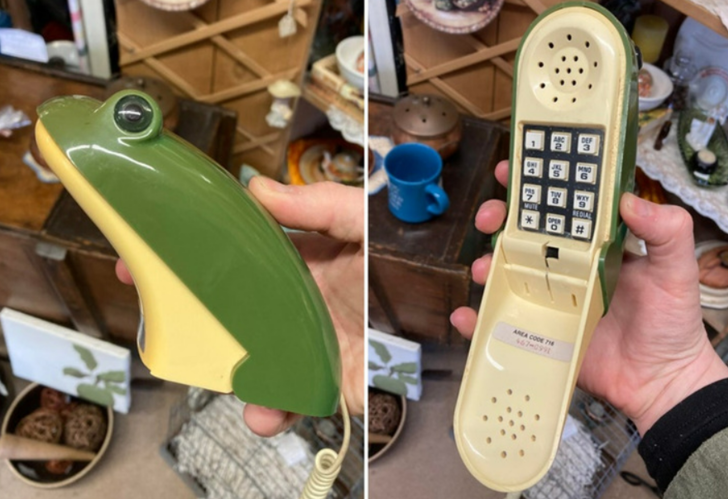 "Yakala ve Bırak: Kurbağa Telefon"