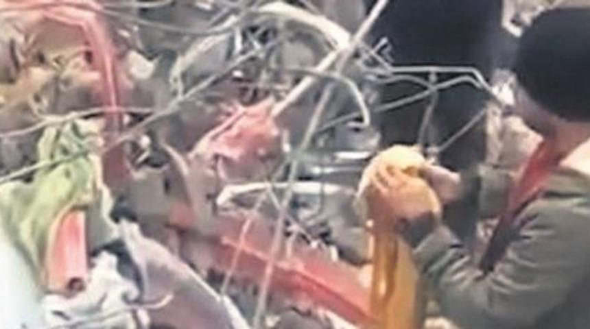 Enkaz yığınları arasında bulunup ikiye bölünerek taşınmıştı! Onlarca altın kemer... 10 bin dolarlık çantanın akıbeti belli oldu