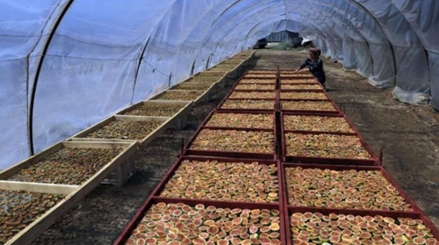 İncir cipsinin mucidi anne kız 29 Ekim Resepsiyonu'na davet edildi