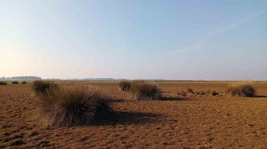 Dikkat çeken 'kuraklık' uyarısı! 'Türkiye riski atlattı diyemeyiz'