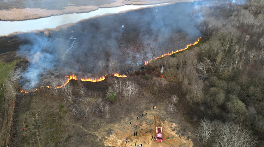 Sakarya'da çıkan örtü yangını söndürüldü
