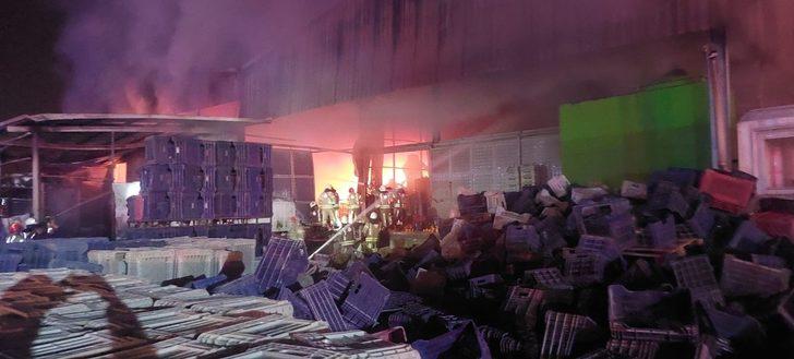 SON DAKİKA | Antakya'da fabrika yangını! Ekiplerin müdahalesi sonuç verdi G1